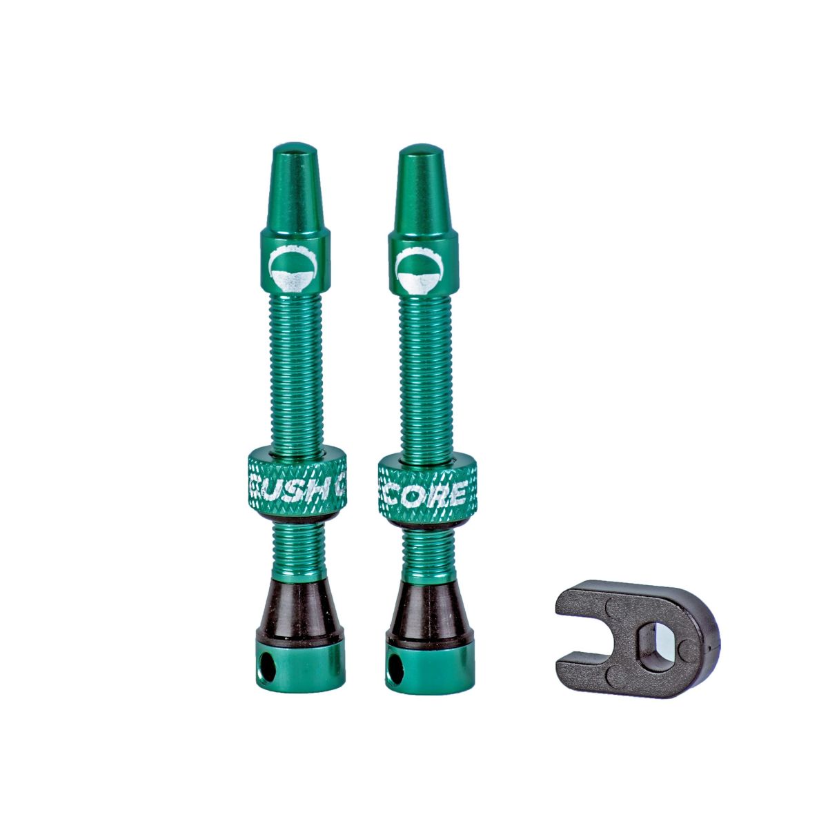 CUSHCORE TURQUOISE 44MM