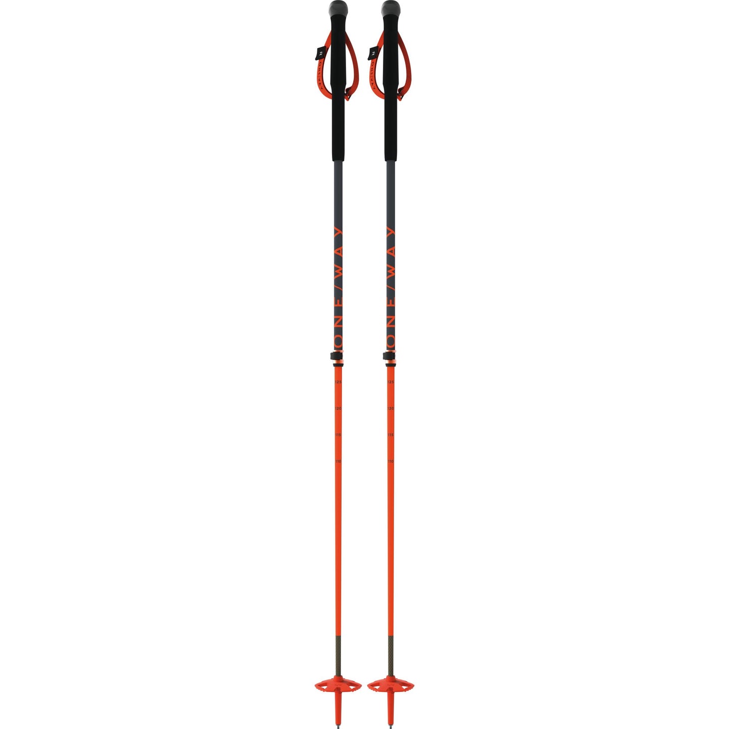 TR CARBON VARIO