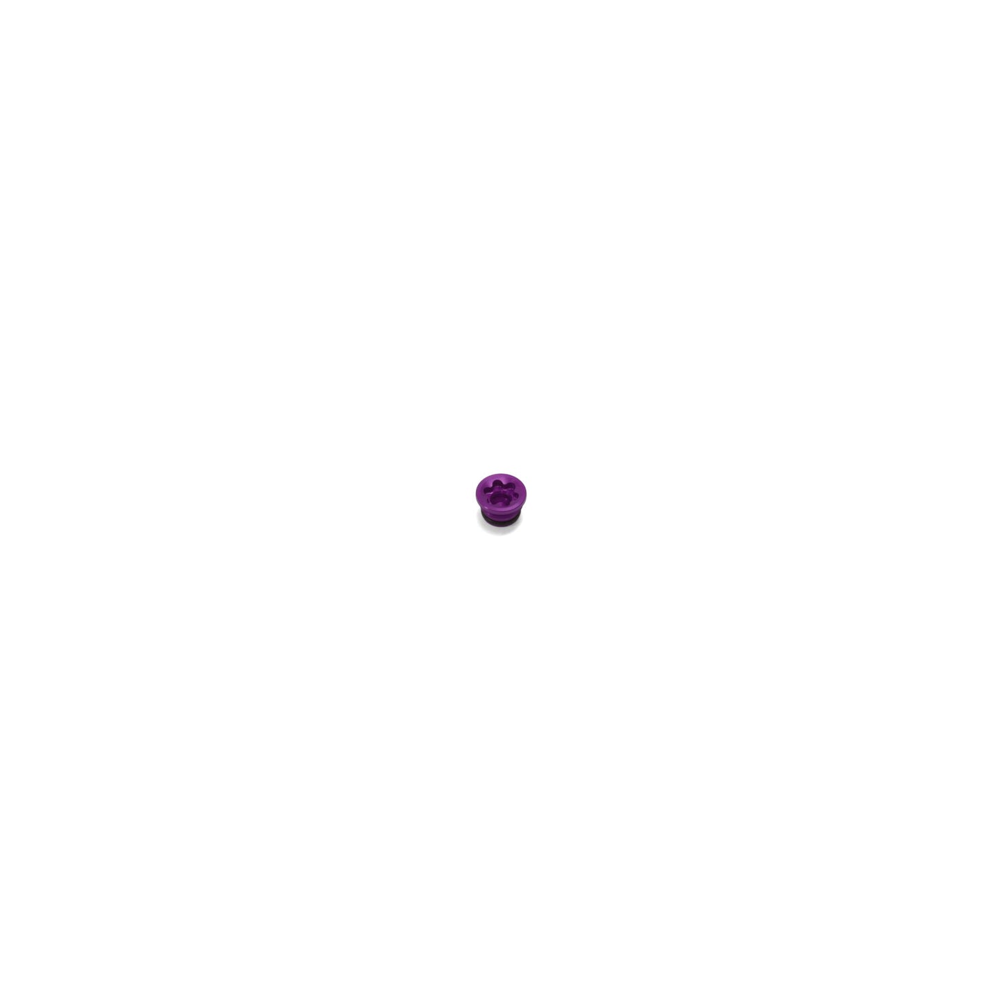 HOPE PARK BRAKE BORE CAP RX4 DOT SMALL PURPLE