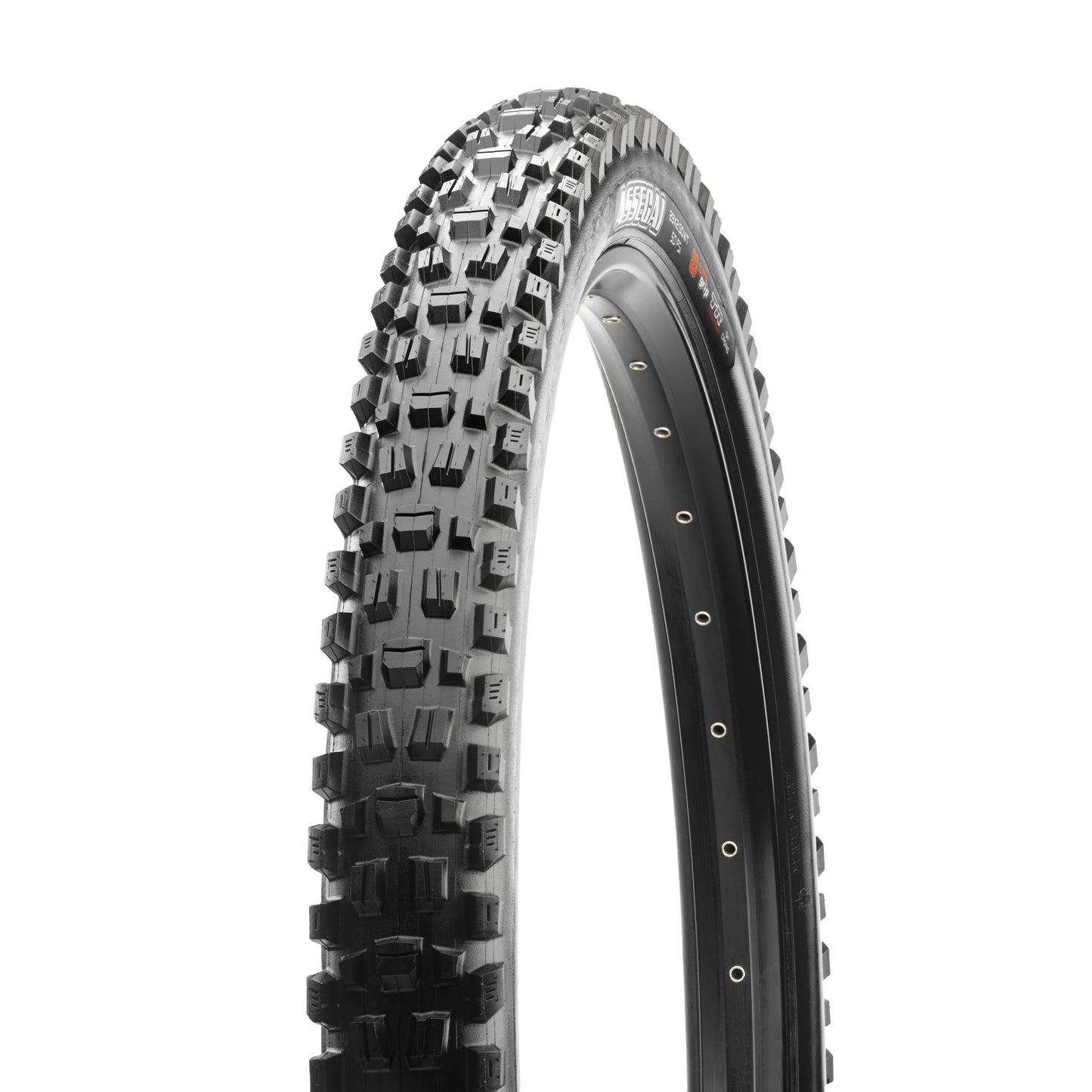 Maxxis Tire MTB ASSEGAI