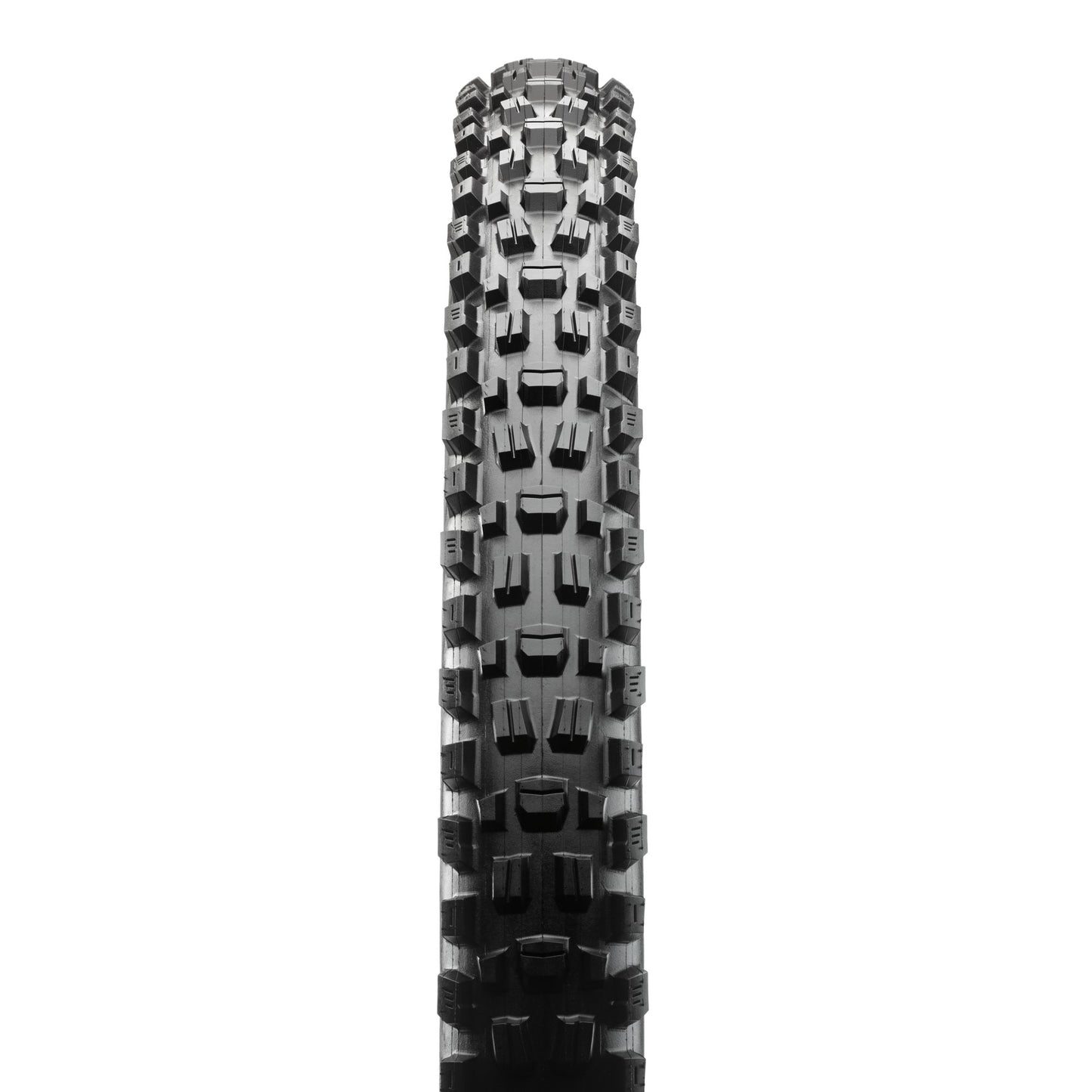 Maxxis Tire MTB ASSEGAI