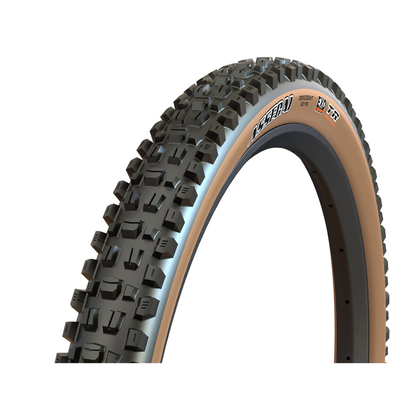 Maxxis Tire MTB ASSEGAI