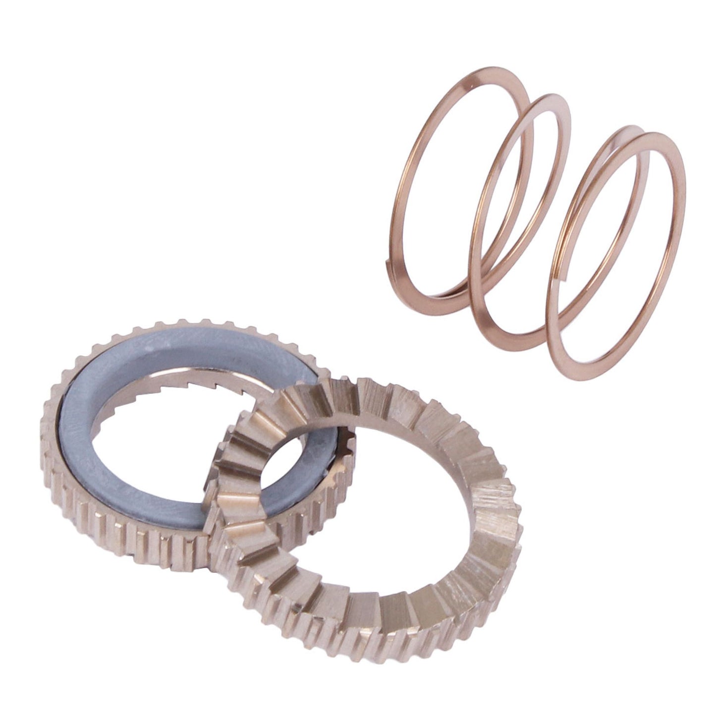 MAVIC FREEHUB KIT ID360 40T RATCHETS + MTB SPRING + GREASE + PAD