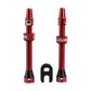 CUSHCORE VALVE STEMS 55MM (2 PACK)