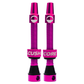 CUSHCORE  PINK 44MM  