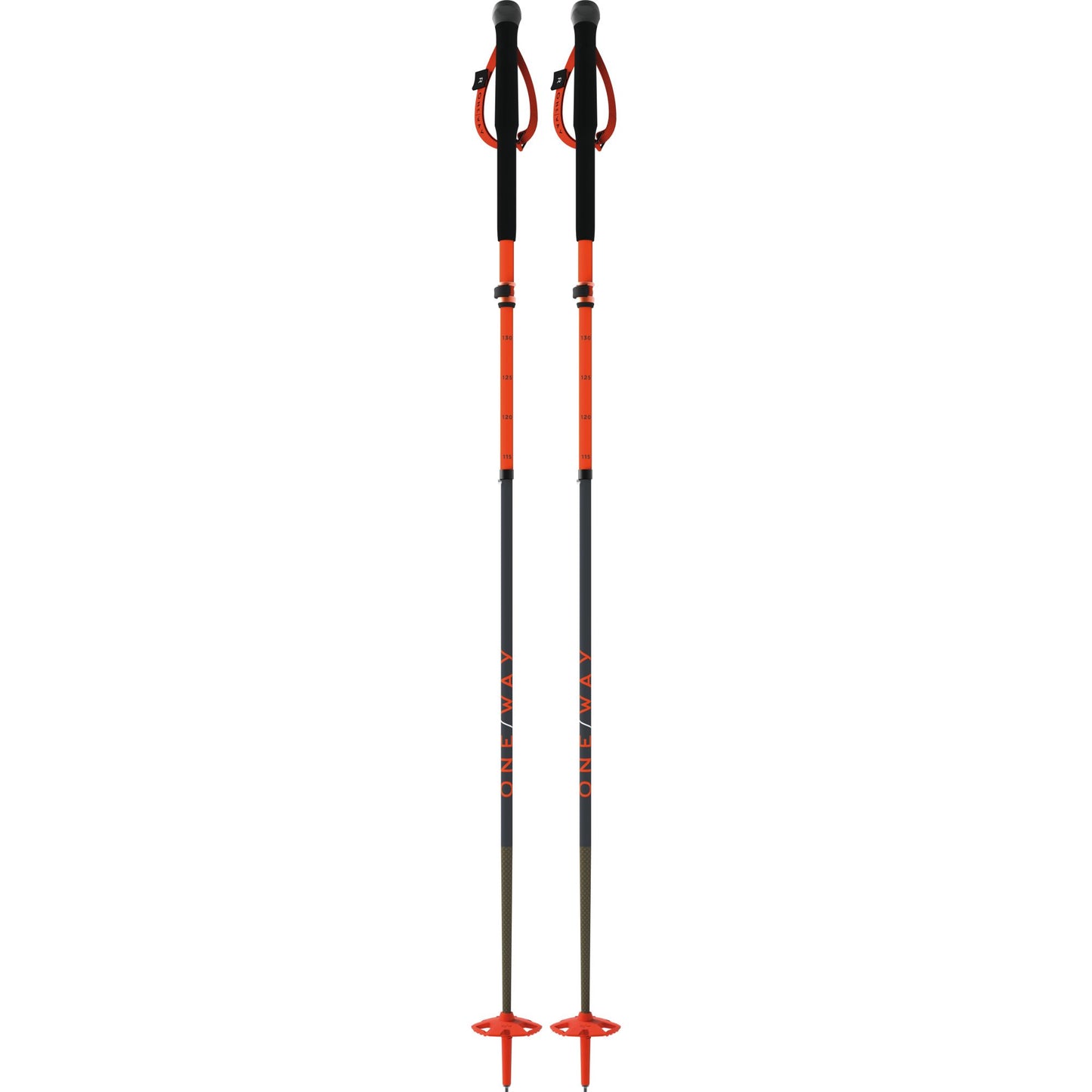 TR CARBONE VARIO X