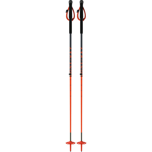 TR CARBON VARIO