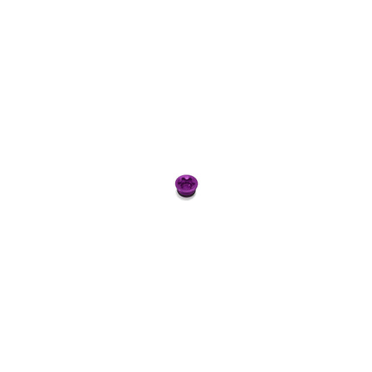 HOPE PARK BRAKE BORE CAP RX4 DOT LARGE PURPLE