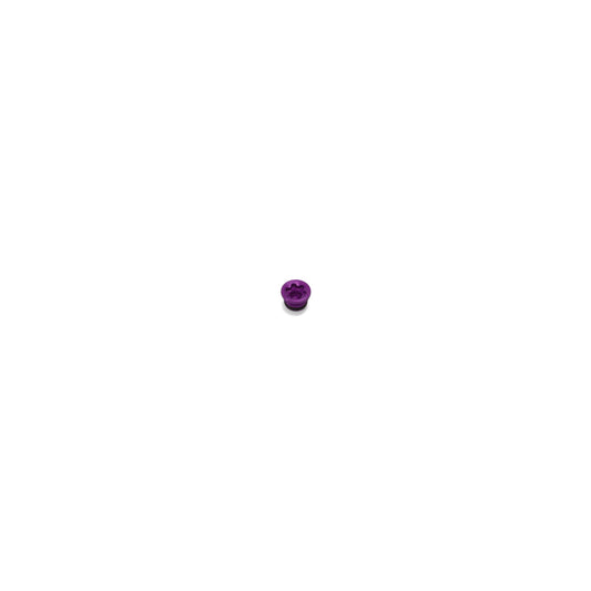 HOPE PARK BRAKE BORE CAP RX4 DOT SMALL PURPLE