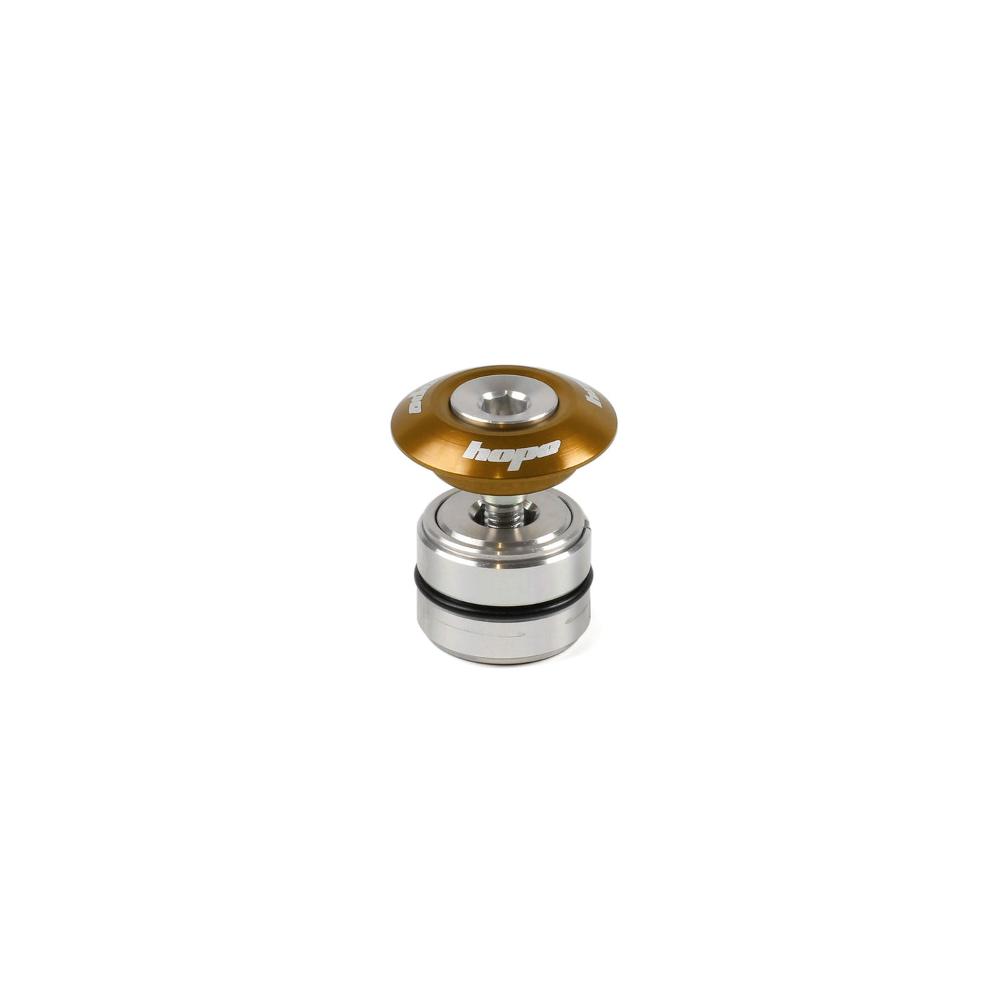 HOPE HEAD DOCTOR - BRONZE