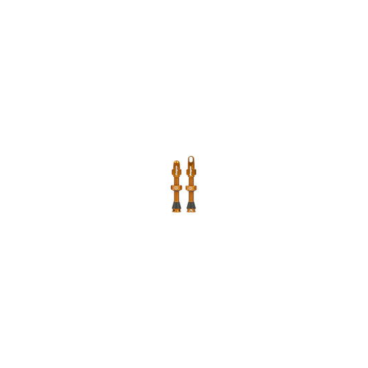 HOPE PART TUBELESS VALVE PAIR-40MM-BRONZE