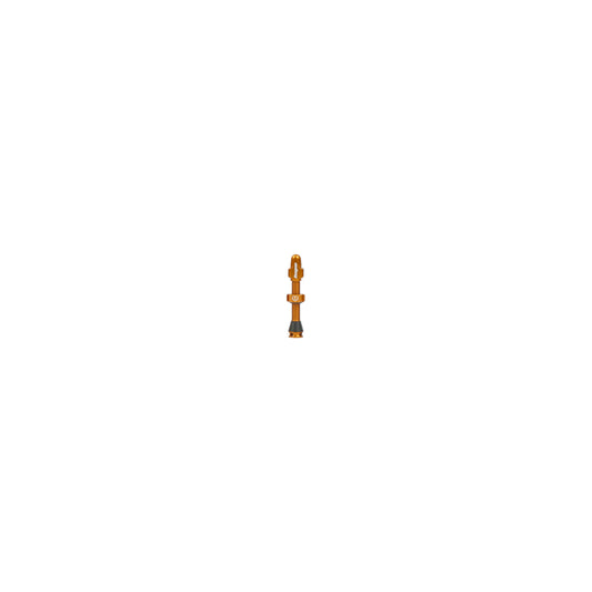 HOPE PART TUBELESS VALVE SINGLE-40MM STD-BRONZE