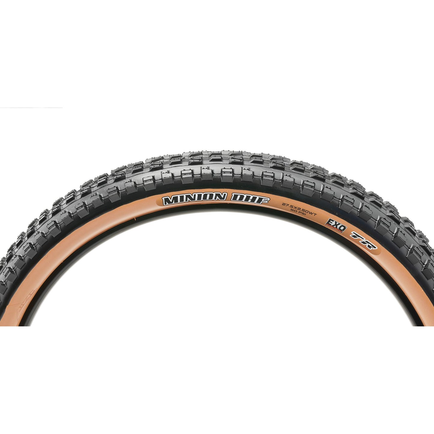Maxxis Tire MTB DHF