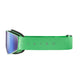 CYRIUS-X Goggles with REACTIV 2-4 Polarized Lens