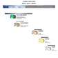 Nastify Double Lens Cbl Plasma Mirror - Spare Lenses|LENASJD11,